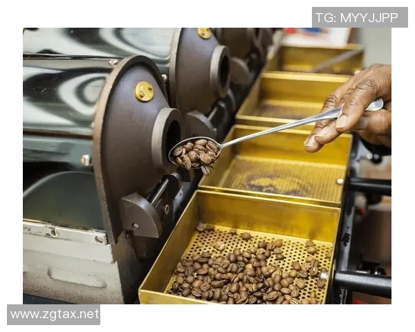 咖啡的魅力：探索从种植到冲泡的全过程与品味文化