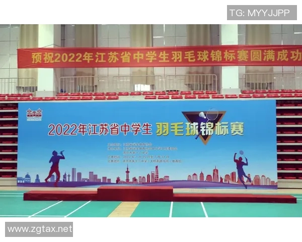 南京羽毛球队运营策略深度分析与发展前景展望